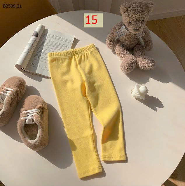 MẪU 15
