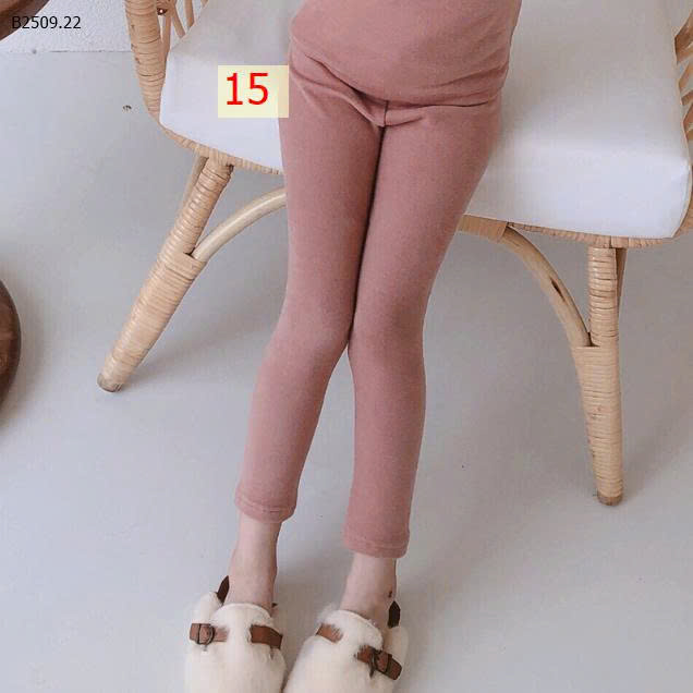 MẪU 15