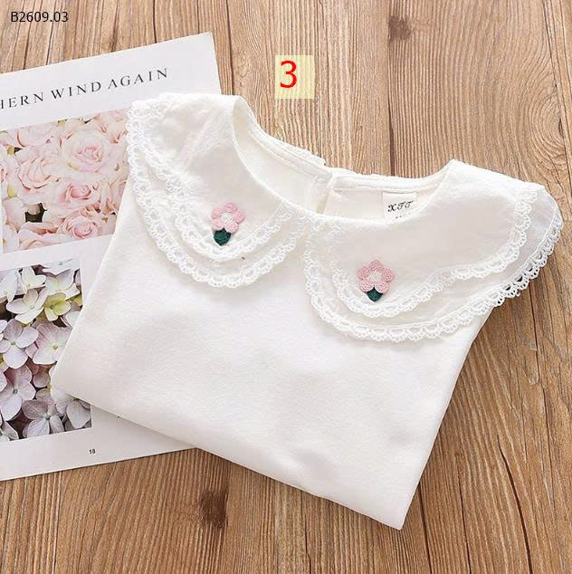 MẪU 3