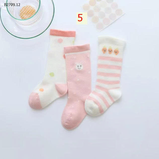 MẪU 5