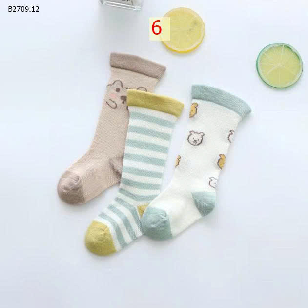 MẪU 6