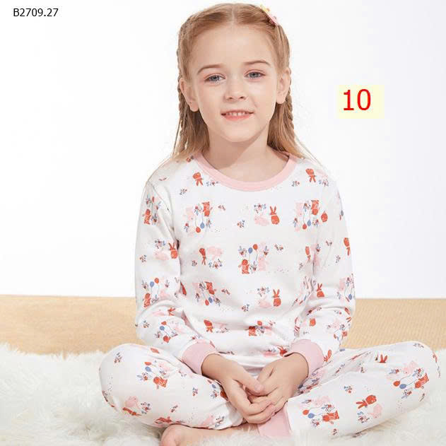 MẪU 10