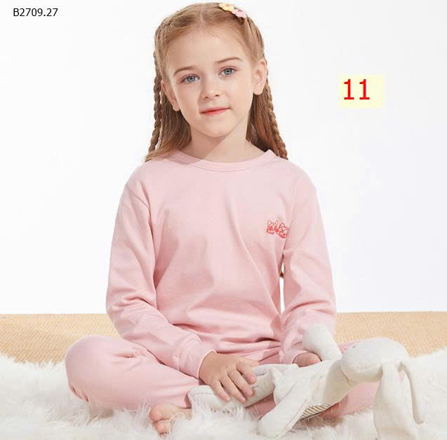 MẪU 11
