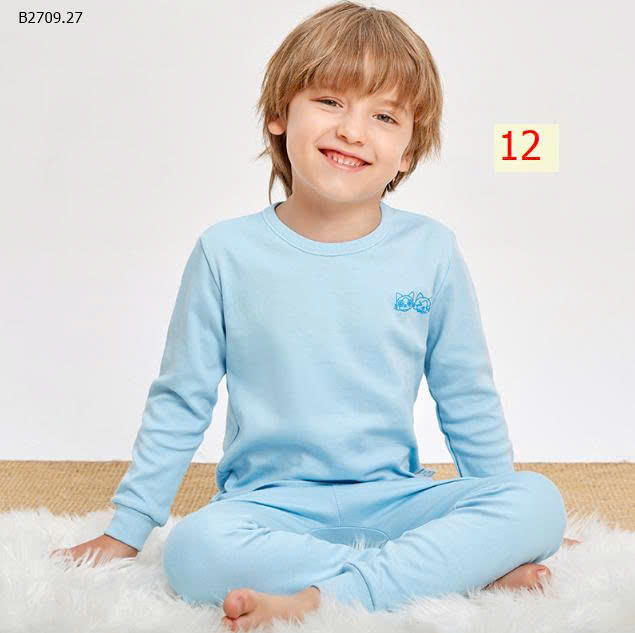 MẪU 12