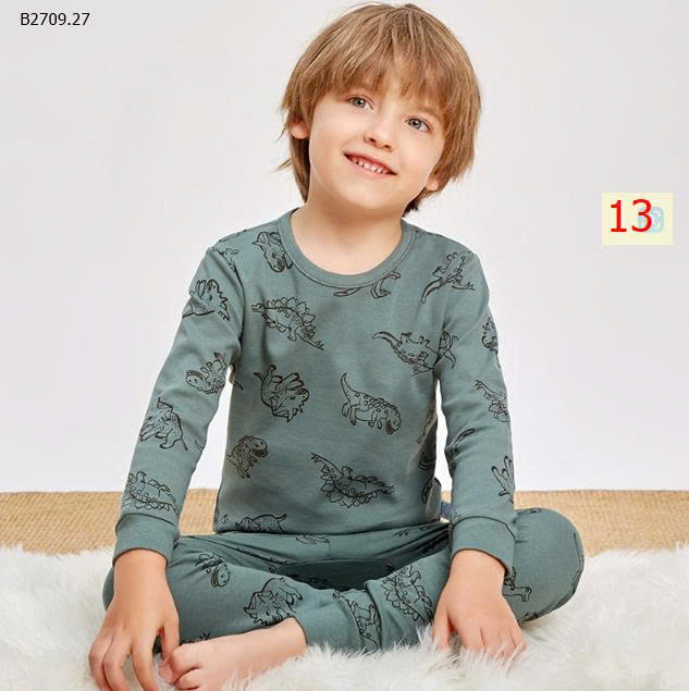 MẪU 13