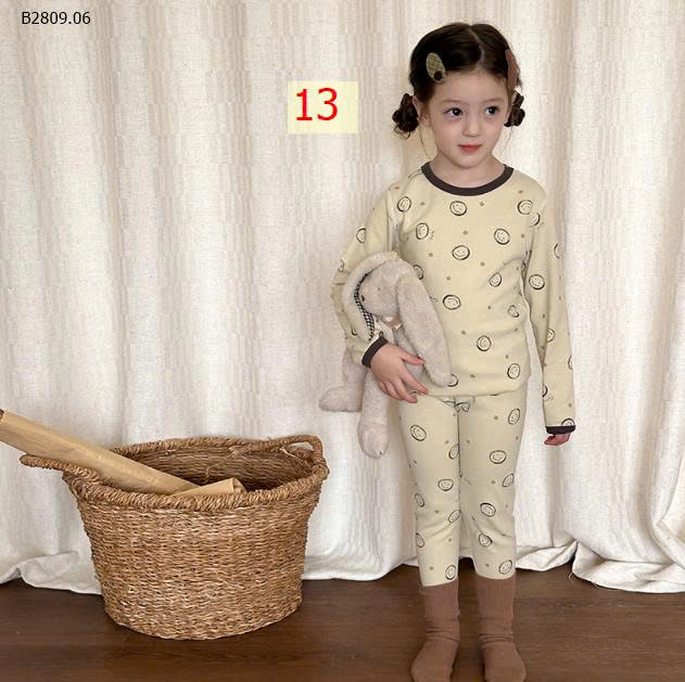 MẪU 13