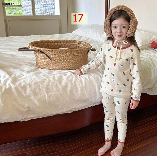 MẪU 17