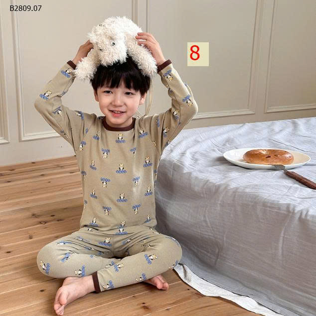 MẪU 8