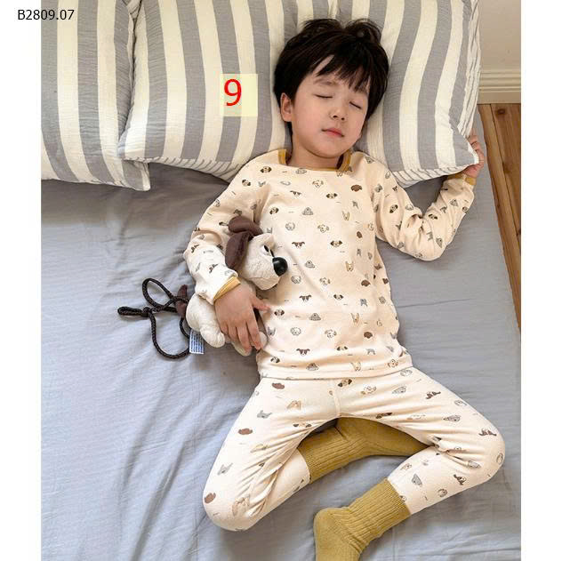 MẪU 9