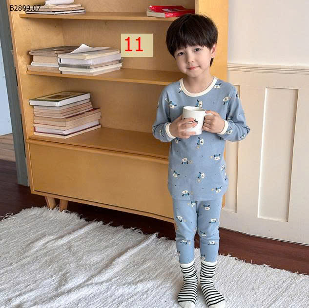MẪU 11