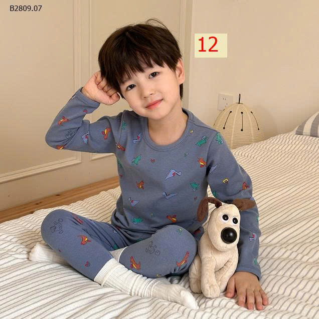 MẪU 12