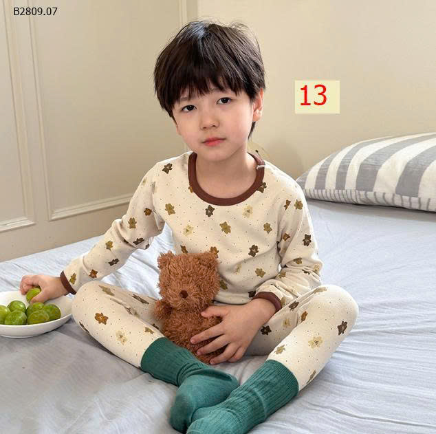 MẪU 13