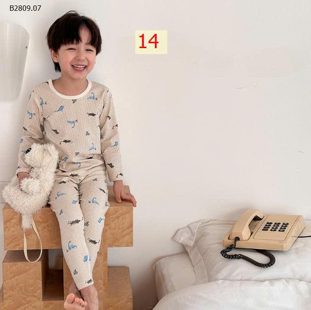 MẪU 14