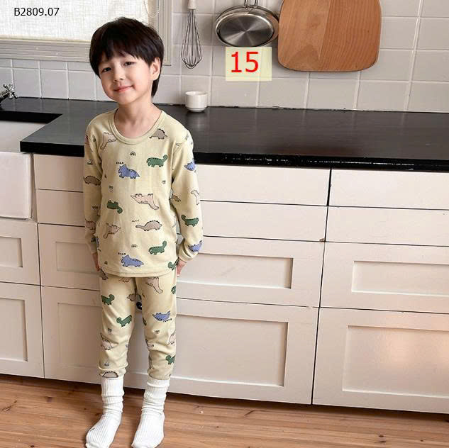 MẪU 15
