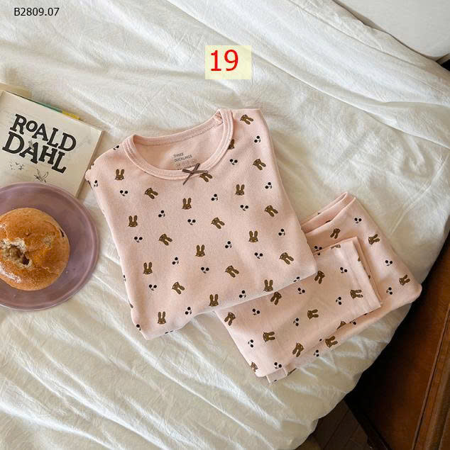 MẪU 19