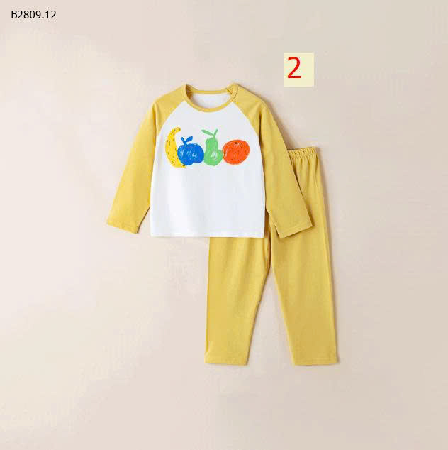 MẪU 2