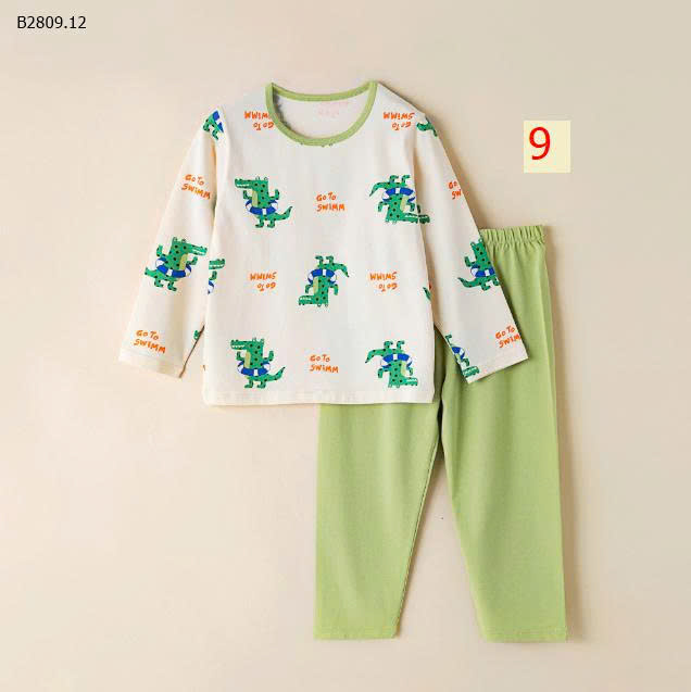 MẪU 9