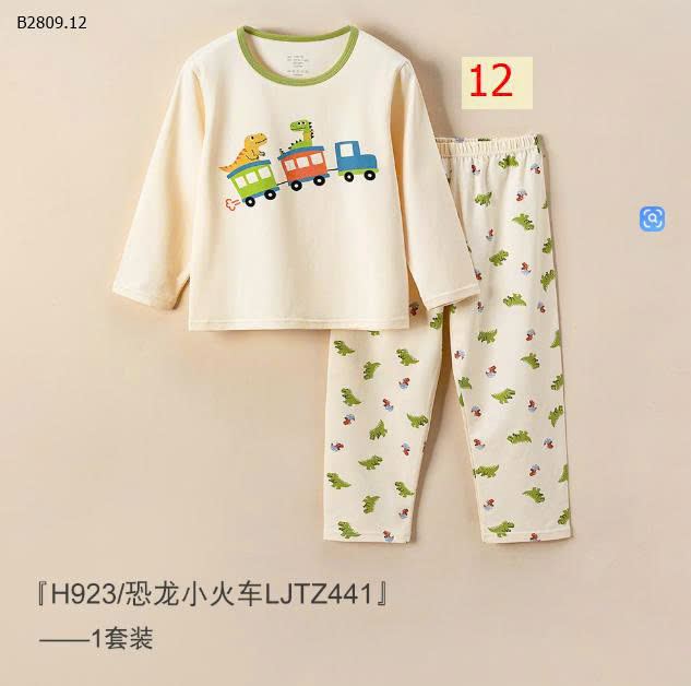 MẪU 12