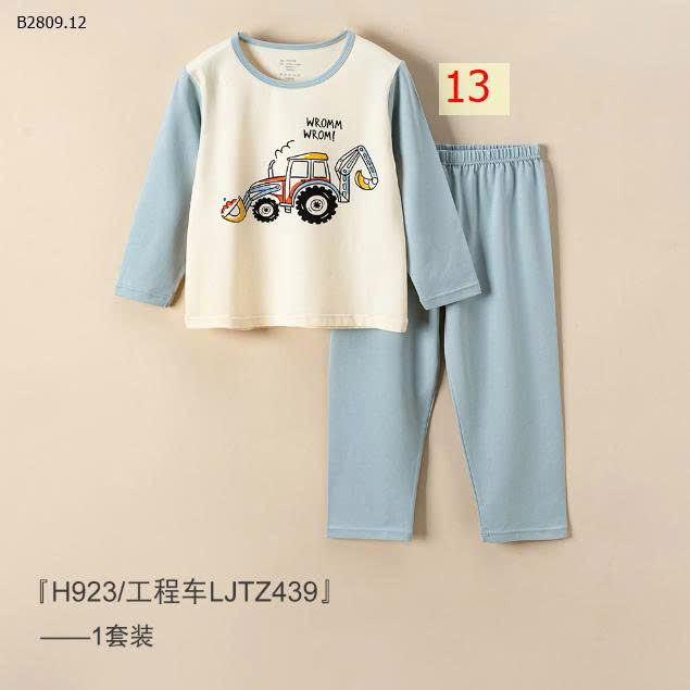 MẪU 13