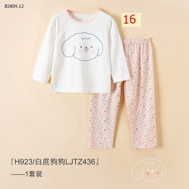 MẪU 16
