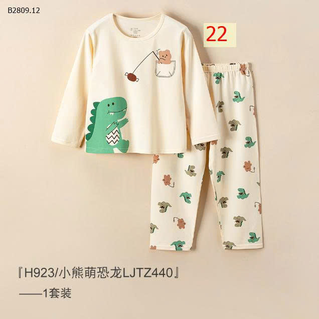 MẪU 22