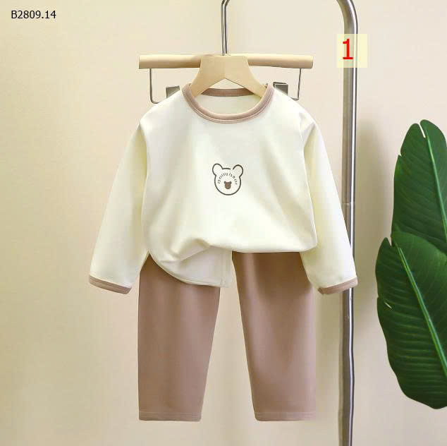 MẪU 1