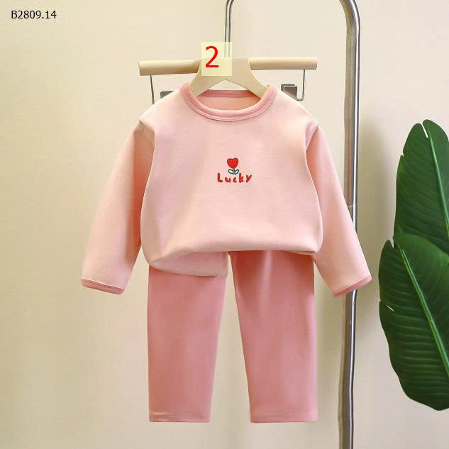 MẪU 2