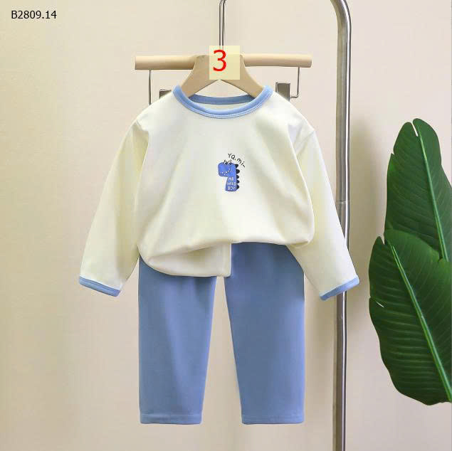 MẪU 3