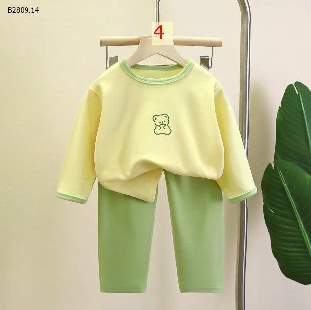 MẪU 4