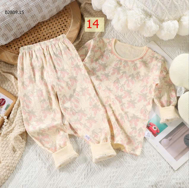 MẪU 14
