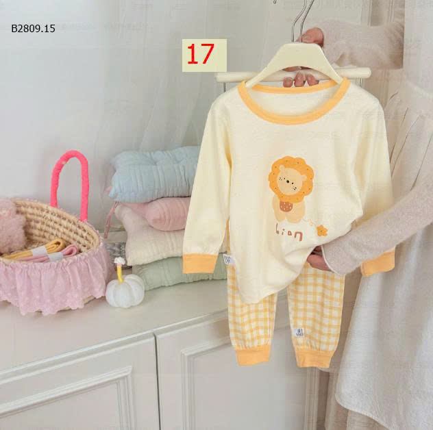 MẪU 17
