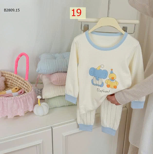 MẪU 19