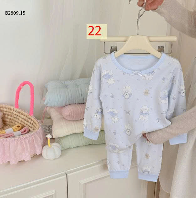 MẪU 22