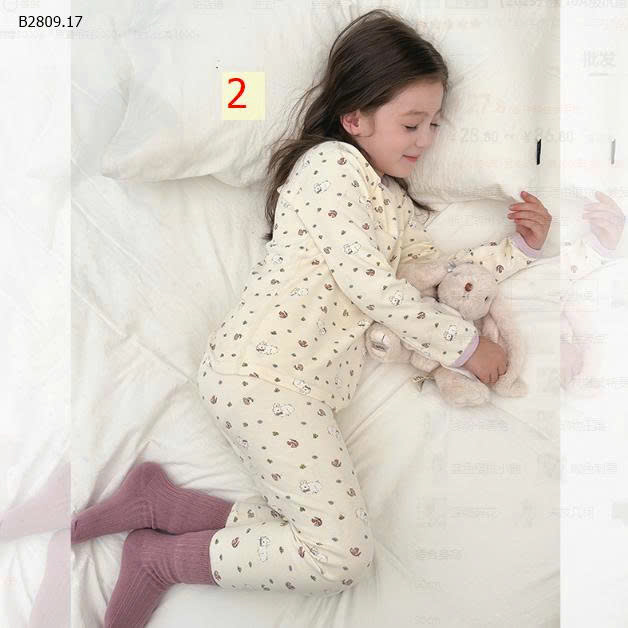MẪU 2