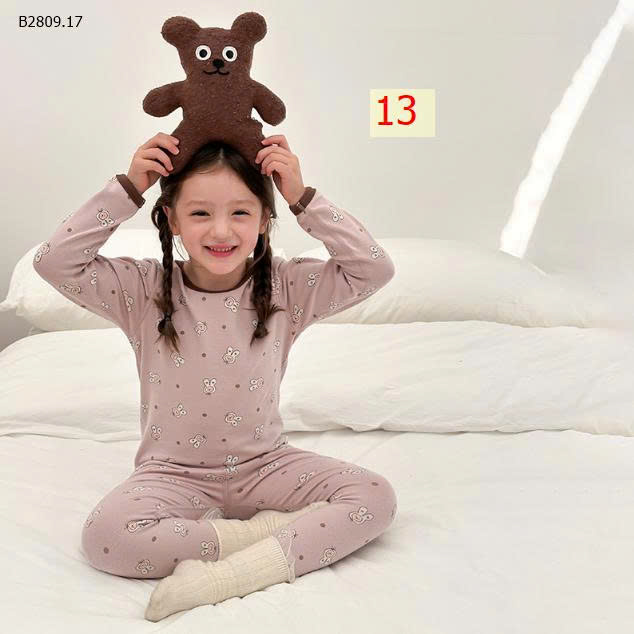 MẪU 13