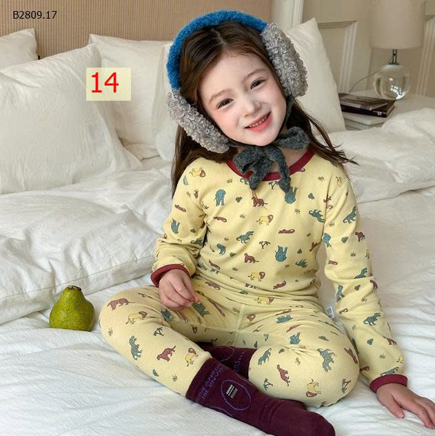 MẪU 14