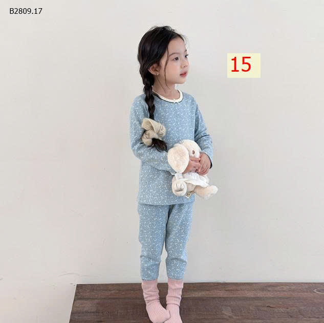 MẪU 15