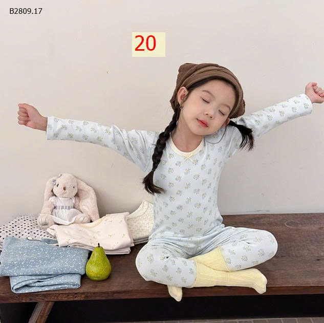 MẪU 20