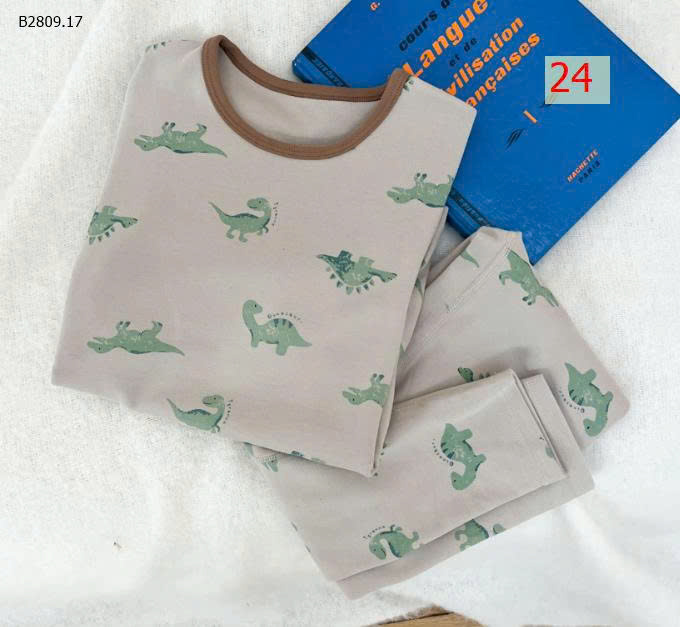 MẪU 24