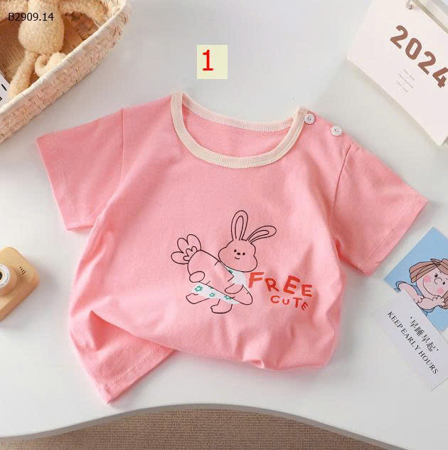 MẪU 1