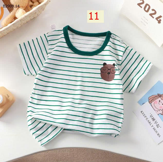 MẪU 11