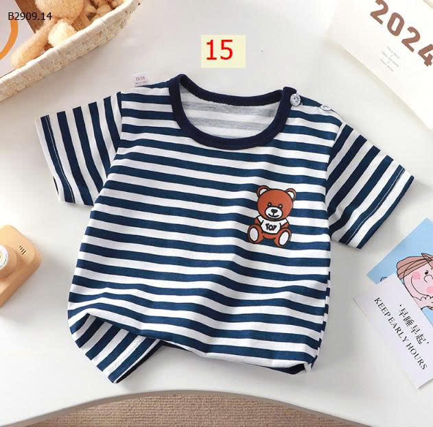 MẪU 15