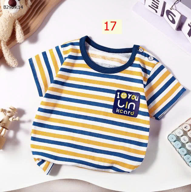 MẪU 17