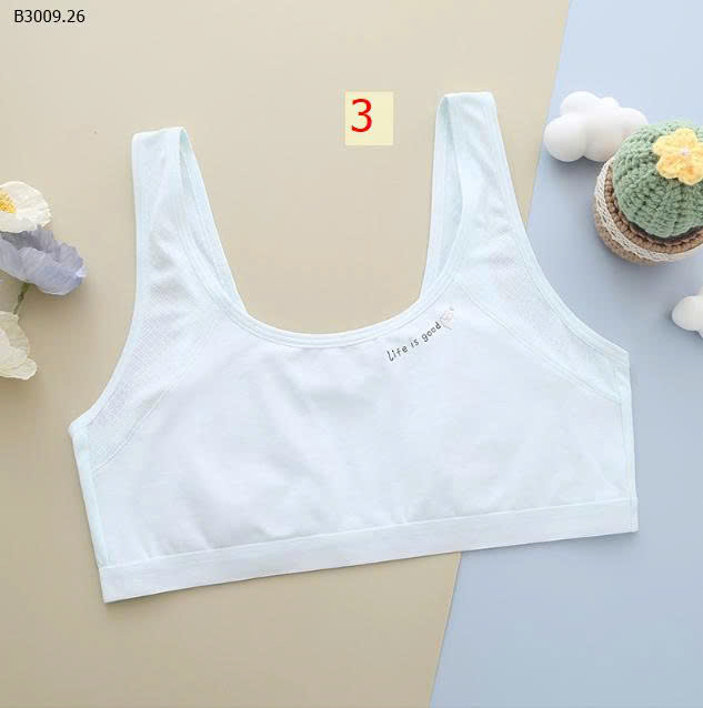 MẪU 3