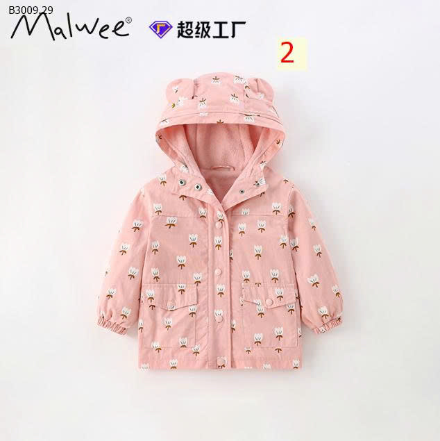 MẪU 2