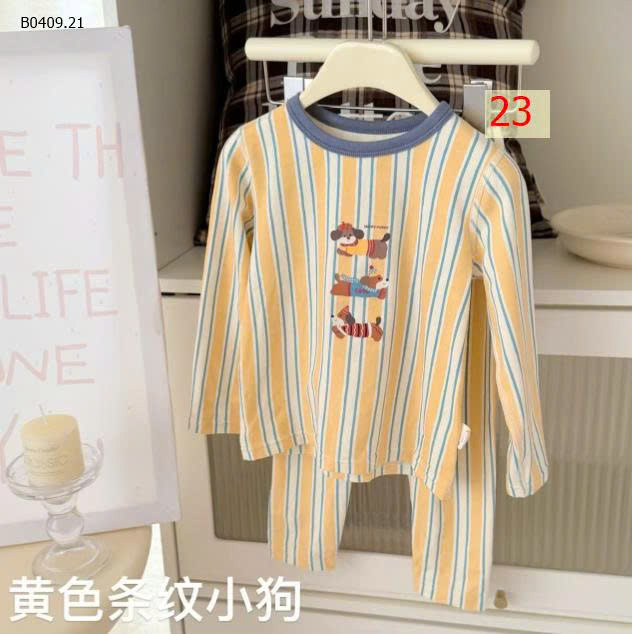 MẪU 23