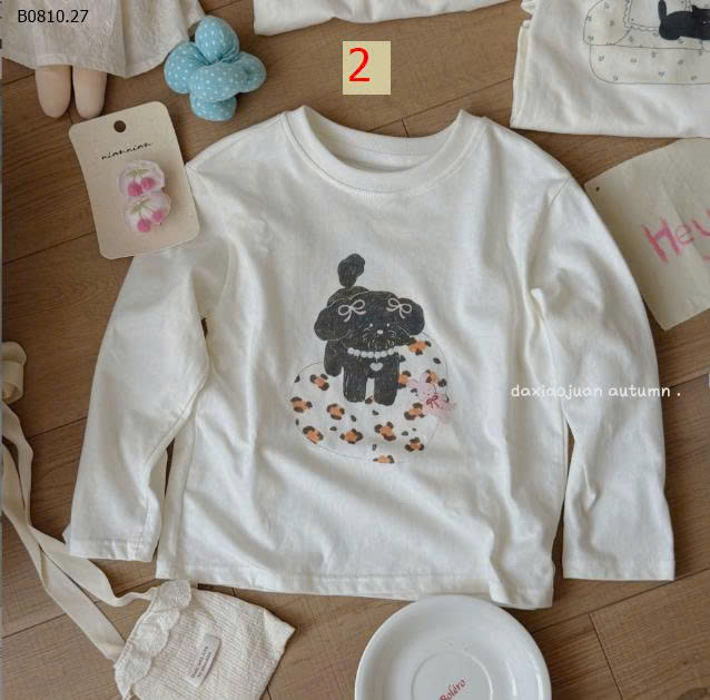 MẪU 2