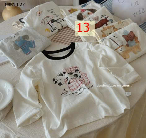 MẪU 13