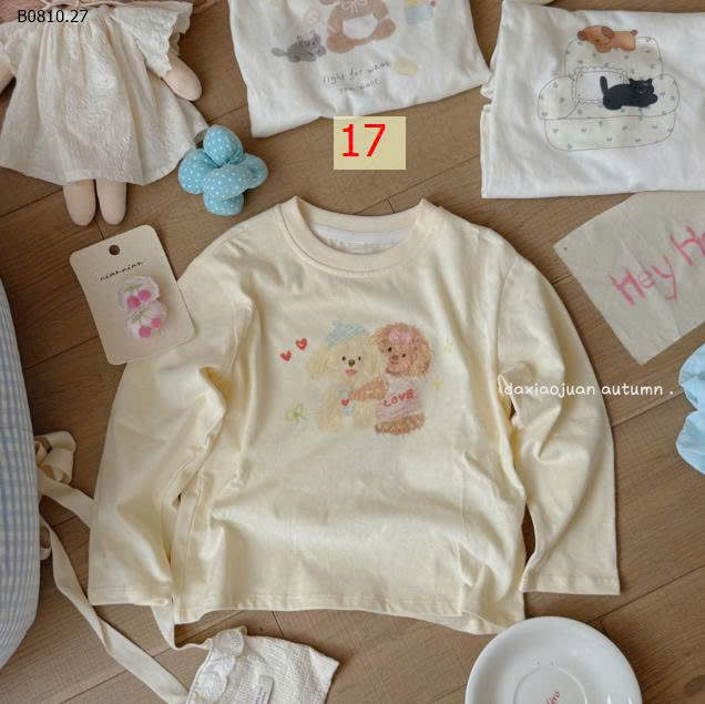 MẪU 17