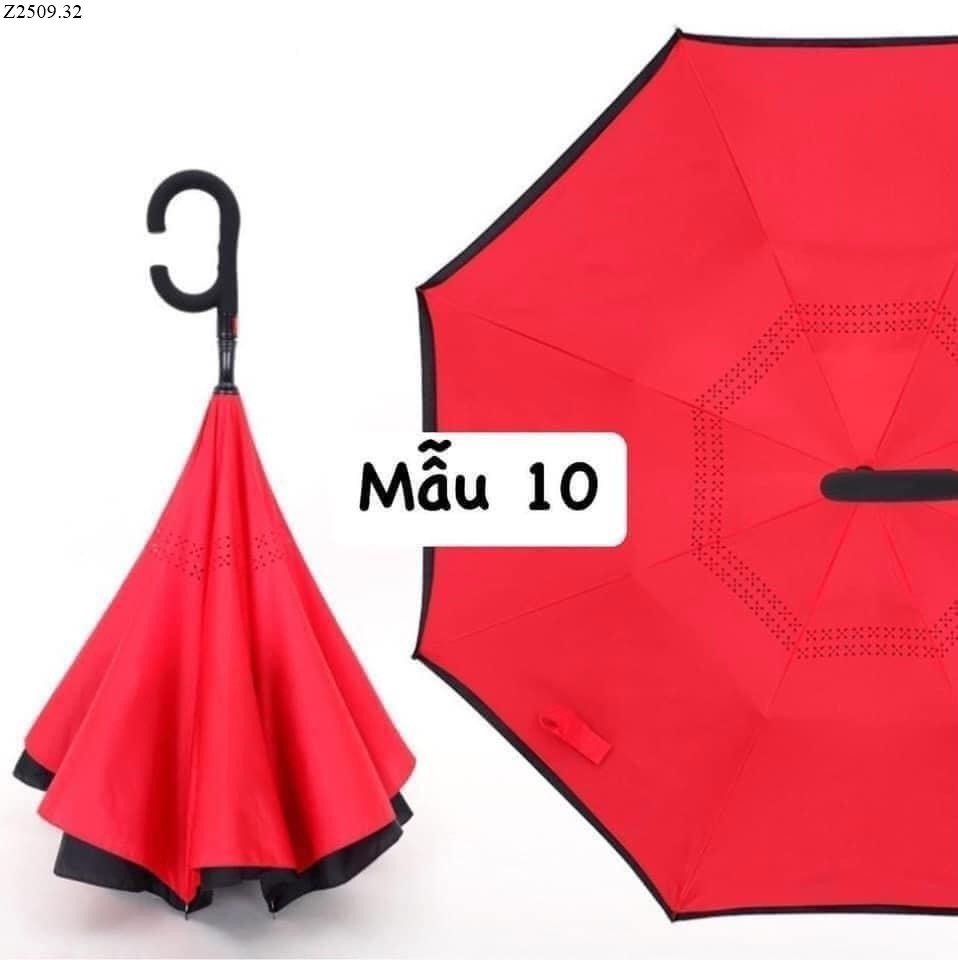 mẫu 10